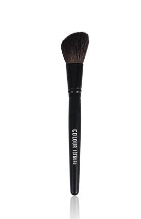PROFESSIONAL MAKEUP BRUSH
