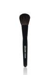 PROFESSIONAL MAKEUP BRUSH