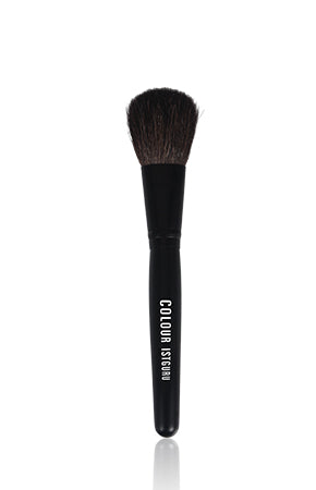 PROFESSIONAL MAKEUP BRUSH
