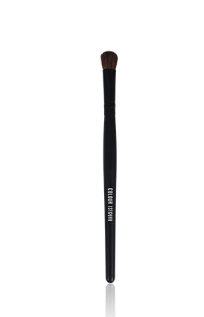 PROFESSIONAL MAKEUP BRUSH